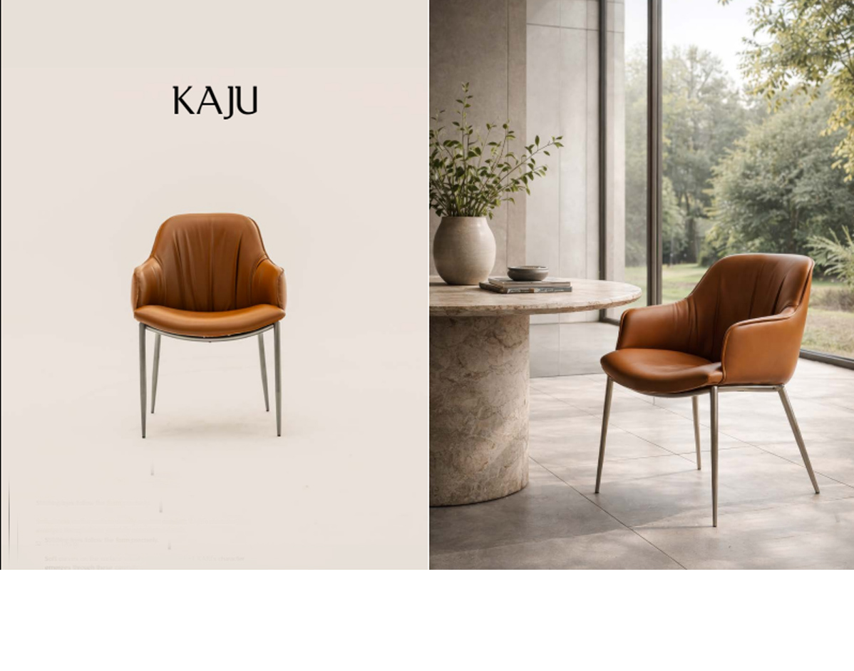 KAJU Blagovaonska stolica 460 € - Image 11